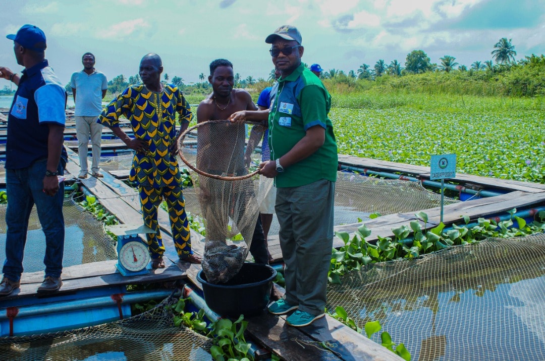 Lagos Pre-Mission Team at a Project- supported Tilapia Fish Cage Culture Site in Lagos during a field visit